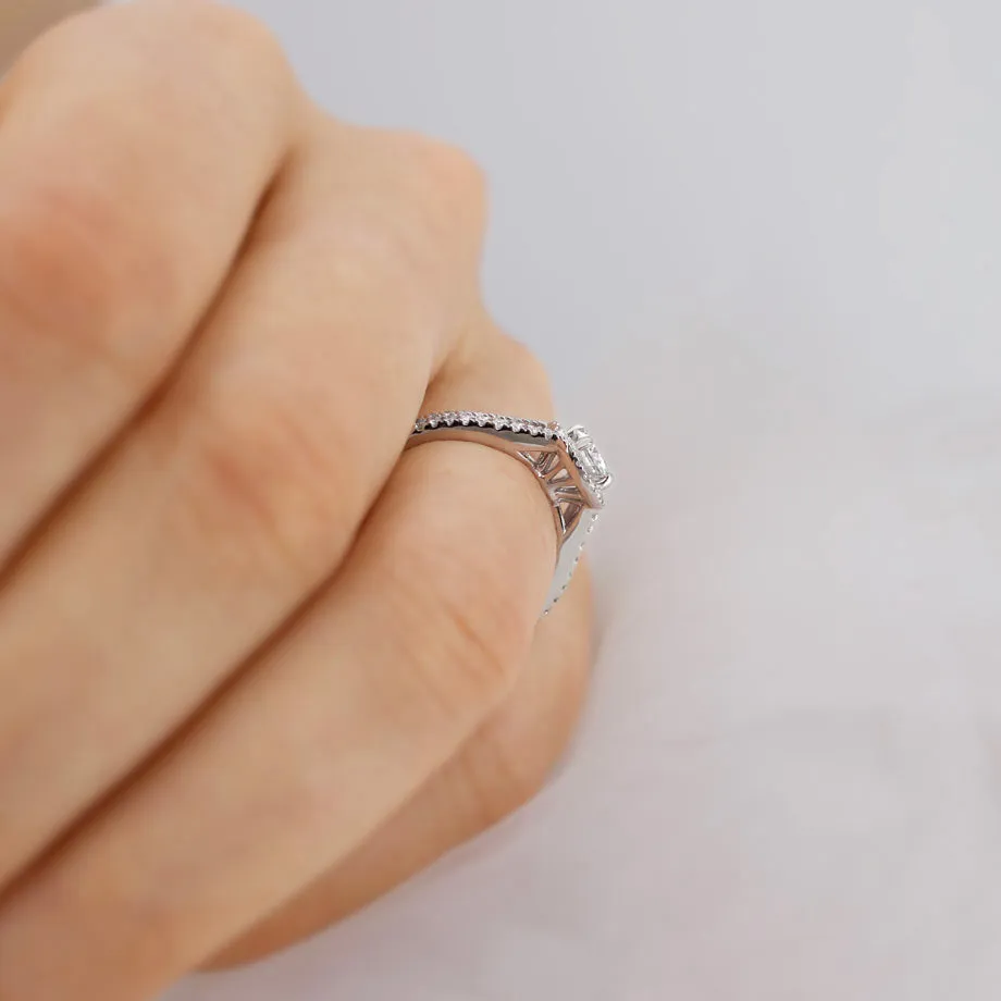 AMELIA - Ready to Ship 1.50ct Round Moissanite & Diamond 950 Platinum Halo