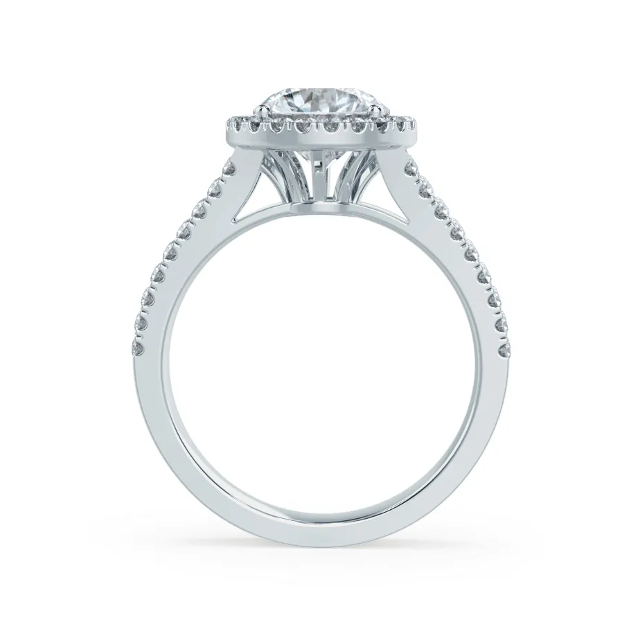 AMELIA - Ready to Ship 1.50ct Round Moissanite & Diamond 950 Platinum Halo