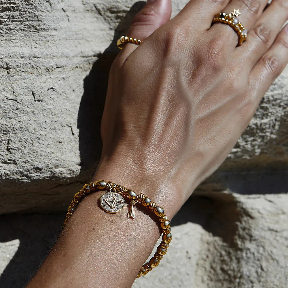 CHLOBO Gold Graceful Arrow Bracelet