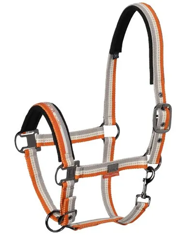 Eskadron Pinbuckle Striped Halter (4101 35 815) - Platinum Collection 2019