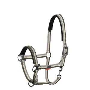 Eskadron Pinbuckle Striped Halter (4101 35 815) - Platinum Collection 2019