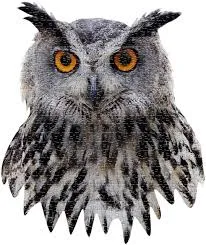 I AM OWL Puzzle