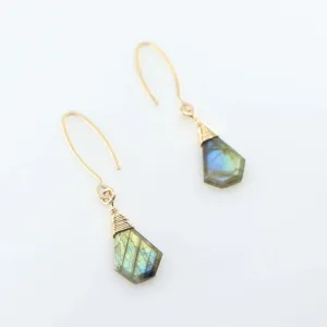 Labradorite Slab Earrings