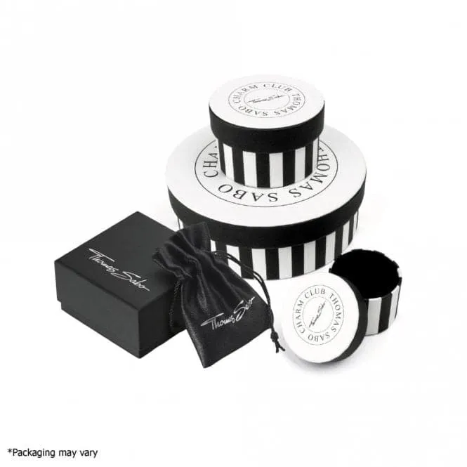 Silver Onyx Zirconia Compass Star Black Pendant PE911-641-11