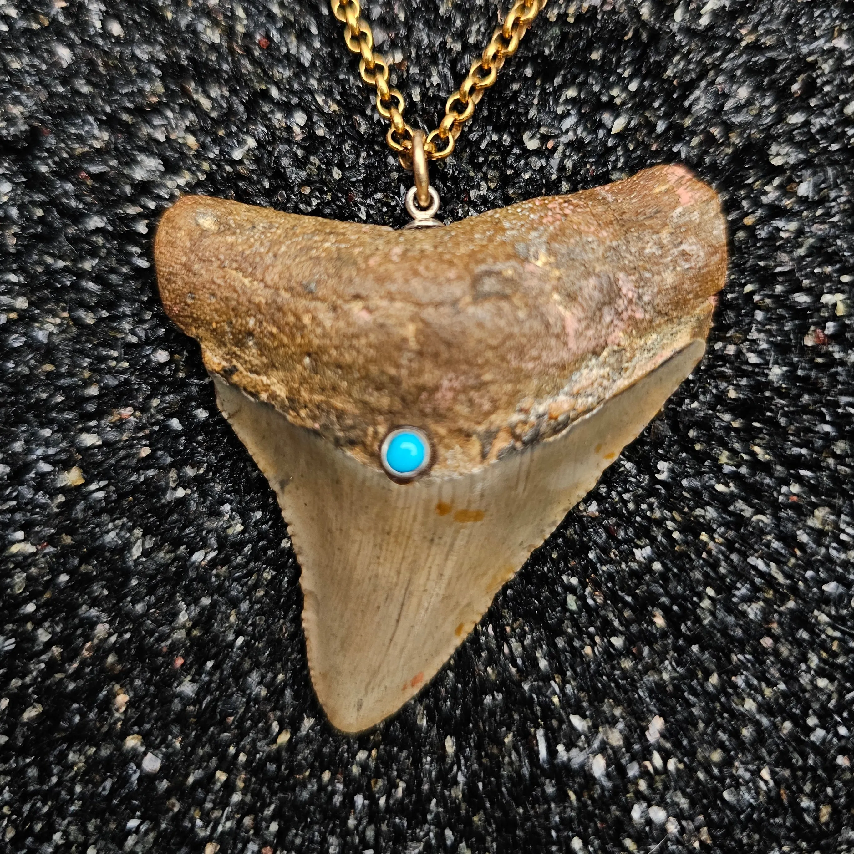 The Relic Necklace (Brown Megalodon Tooth With Sleeping Beauty Turquoise, Set In 14k Yellow Gold)